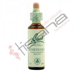 Bach Honeysuckle Madreselva · Santiveri · 10 ml